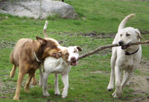 Share the stick..