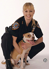 Tips for preventing animal cruelty