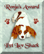 Pet Love Shack Award